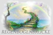 regenbogenbruecke1.jpg