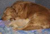 Isabeau_01.04.13__10.JPG