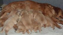 Isabeau_02.04.13__34.JPG