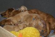 Isabeau_03.04.13__23.JPG