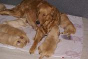 Isabeau_03.04.13__37.JPG