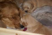 Isabeau_04.04.13__11.JPG
