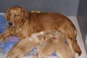Isabeau_07.04.13__10.JPG