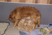 Isabeau_09.04.13__25.JPG