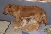 Isabeau_09.04.13__26.JPG