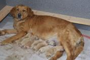 Isabeau_13.03.13__38.JPG