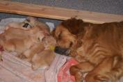 Isabeau_19.03.13__18.JPG