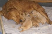 Isabeau_24.03.13__21.JPG
