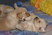 Isabeau_07.04.13__29.JPG