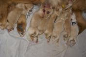 Isabeau_13.03.13__46.JPG