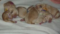 Isabeau_14.03.13__22.JPG
