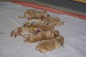 Isabeau_15.03.13__19.JPG