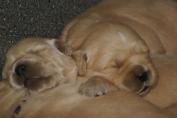 Isabeau_28.03.13__15.JPG