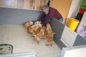 Welpen__18.04.13__19.JPG