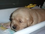 04.04.13__24_Isabeau.JPG