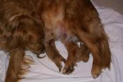 Fiona_19.03.13__14.JPG