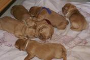 Fiona_24.03.13__14.JPG