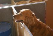 Fiona_31.03.13__11.JPG