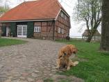 Bederkesa_26.04.13__15.JPG