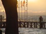 Bodensee__26.jpg