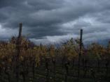Bodensee__52.jpg