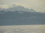 Bodensee__59.JPG
