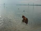 Bodensee__65.jpg