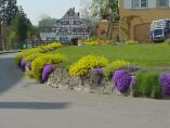 Frhling_Bodensee__27.JPG