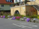 Frhling_Bodensee__32.JPG