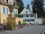 Frhling_Bodensee__35.JPG