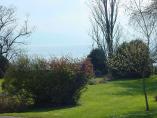 Frhling_Bodensee__38.JPG
