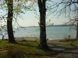 Frhling_Bodensee__39.JPG