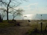 Frhling_Bodensee__40.JPG