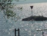 Frhling_Bodensee__41.JPG