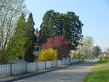 Frhling_Bodensee__43.JPG