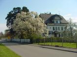 Frhling_Bodensee__45.JPG