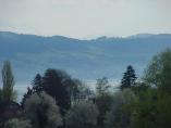 Frhling_Bodensee__48.JPG