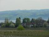 Frhling_Bodensee__49.JPG