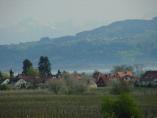 Frhling_Bodensee__50.JPG