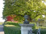 Herbst_Bodensee__10.JPG