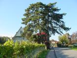 Herbst_Bodensee__14.JPG