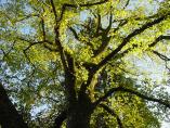Herbst_Bodensee__20.JPG