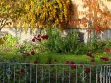 Herbst_Bodensee__27.JPG
