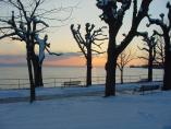 Winter_Bodensee__13.JPG