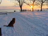 Winter_Bodensee__17.JPG