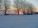 Winter_Bodensee__22.JPG