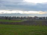Winter_Bodensee__24.JPG