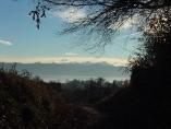 Winter_Bodensee__35.JPG