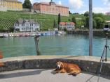 Meersburg__81.JPG