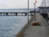 Fhre_Meersburg-Konstanz__25.JPG